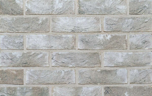 Лозьер_С_WDF---